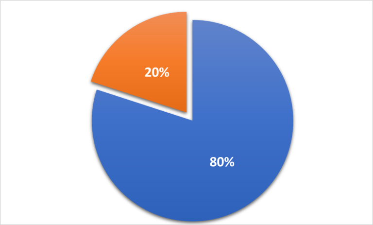 Pie chart divided into 20% and 80%