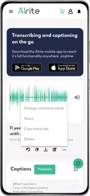 Alrite speech to text app 'file data sheet' screen